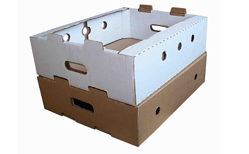 Гофролотки для овощей